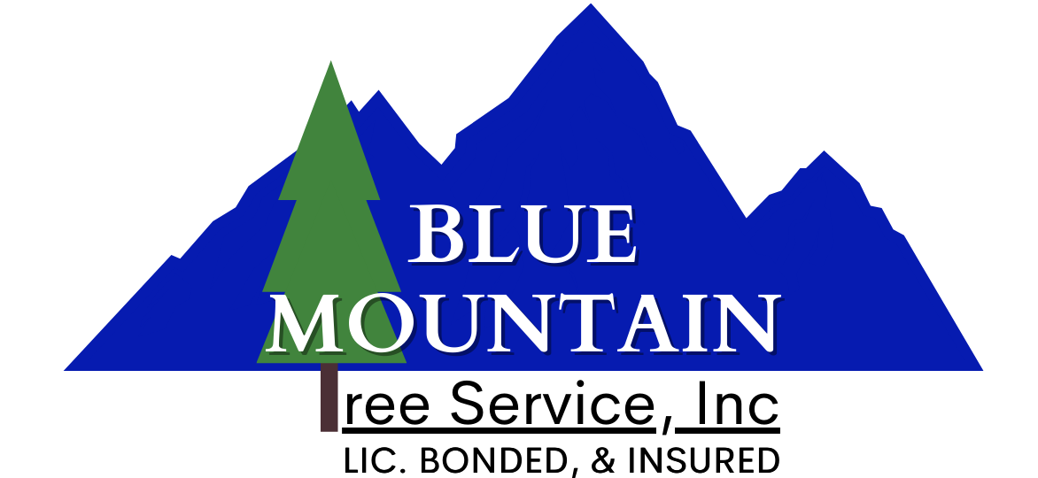 Blue Mountain Tree Service